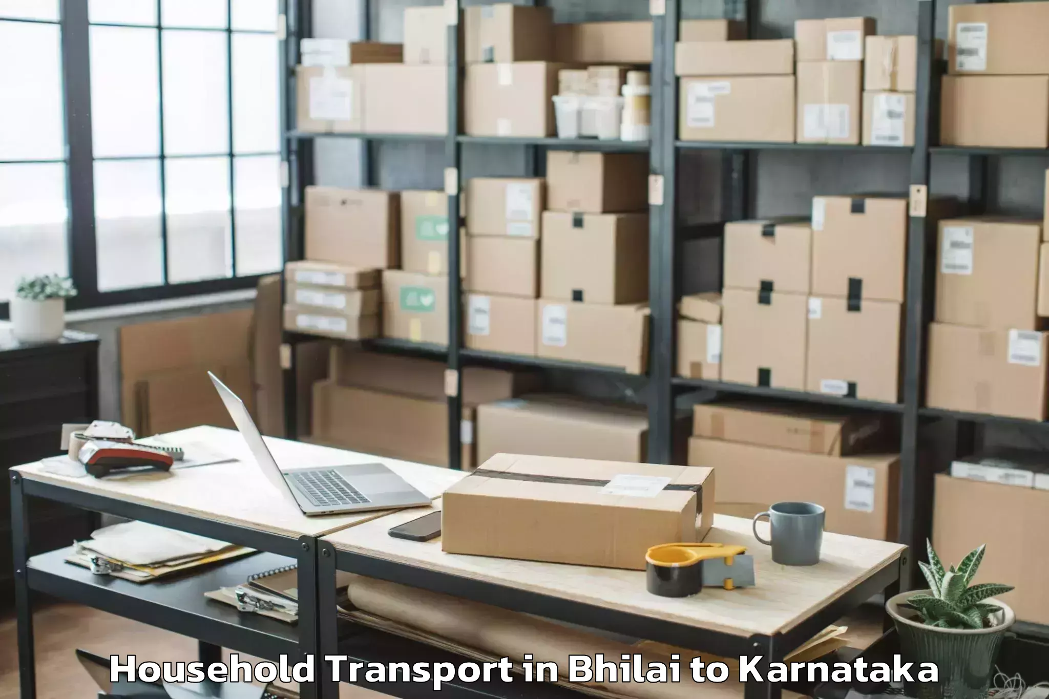 Trusted Bhilai to Hagaribommanahalli Household Transport